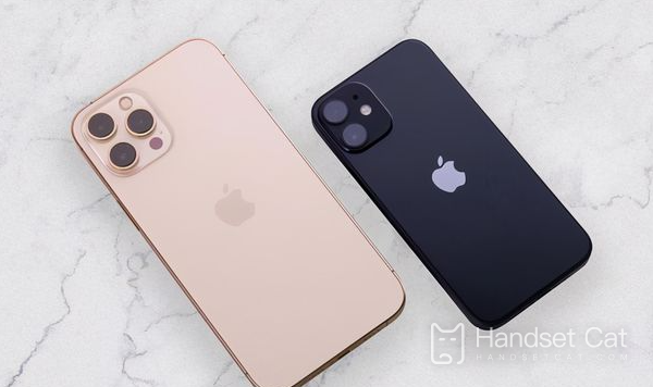 Apple 13pro를 강제 종료하고 다시 시작하는 방법