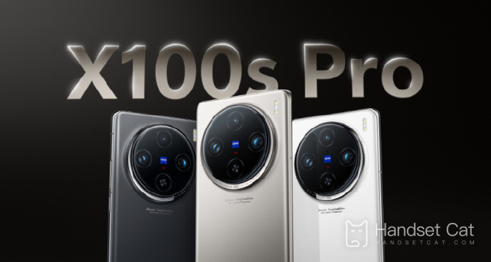 OnePlus Ace3 Pro와 vivo X100s Pro의 매개변수 비교