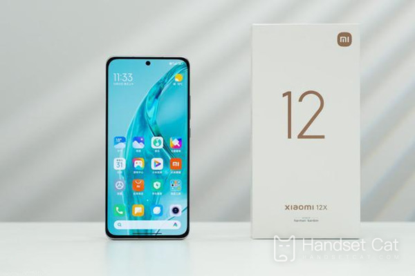 Xiaomi 12X는 어떤 화면을 사용하나요?