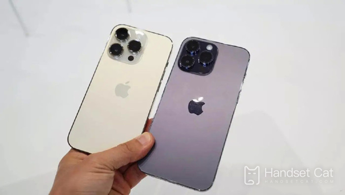 iPhone 14 Pro Max의 이미지에서 텍스트를 추출하는 방법