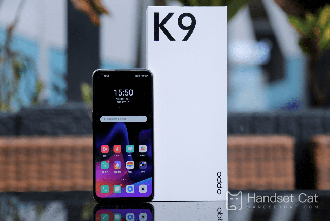 OPPO K9s Hardware Price Introduction
