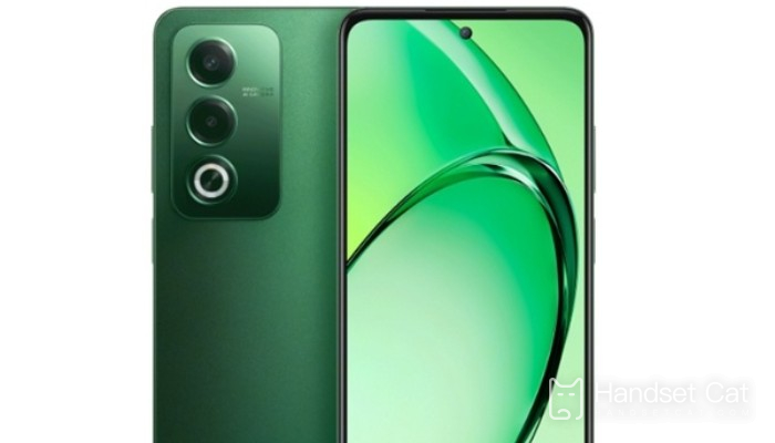 OPPO A3 Vibrant Edition には何色がありますか?