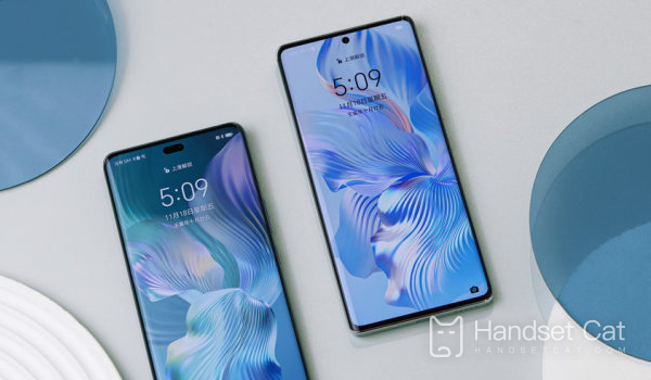 Có thể mua trả góp Honor 80 không lãi suất không?