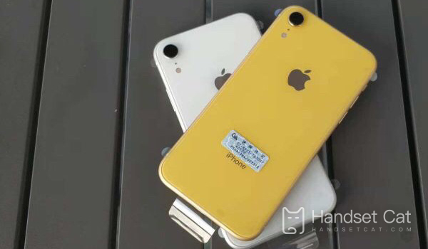 Giới thiệu pin iPhone XR