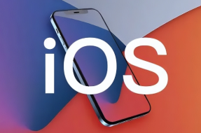 iPhone11promax를 ios18.1로 업데이트해야 하나요?