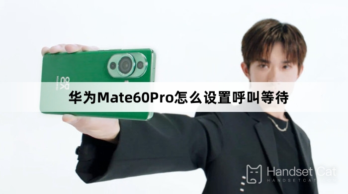 How to set call waiting on Huawei Mate60Pro