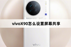 How to set up screen sharing on vivoX90