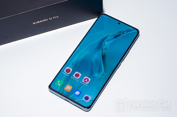 De quel type d’interface dispose le Xiaomi 12 Pro ?