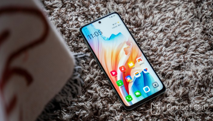 How to turn off developer mode in OPPOA2