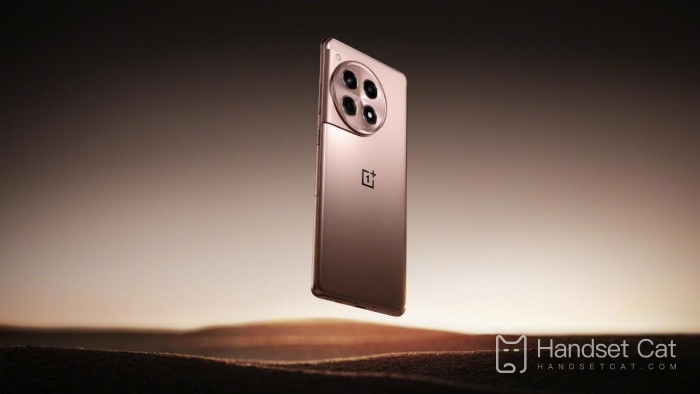 Unterstützt OnePlus Ace3 die optische Bildstabilisierung?