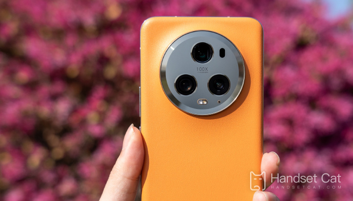 How to take ID photos with Honor Magic5 Pro