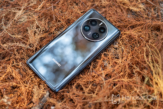 Welche Farbe hat das Huawei Mate 50 Pro Kunlun Xiaguang?