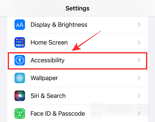 How to open real-time subtitles for iPhone 14 pro