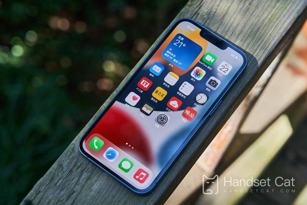 iPhone 14 प्लस सेल्फी के बारे में क्या ख्याल है?