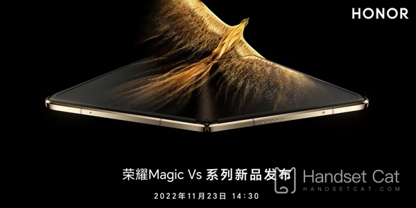 Honor Magic Vs là loại màn hình gì?