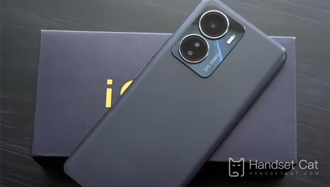 Introdução sobre como visualizar o modelo de celular iQOO Z6x