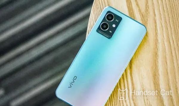 vivo Y33s มีหลายสี