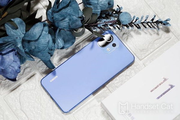 Como habilitar a função NFC do Xiaomi 11 Youth Edition?