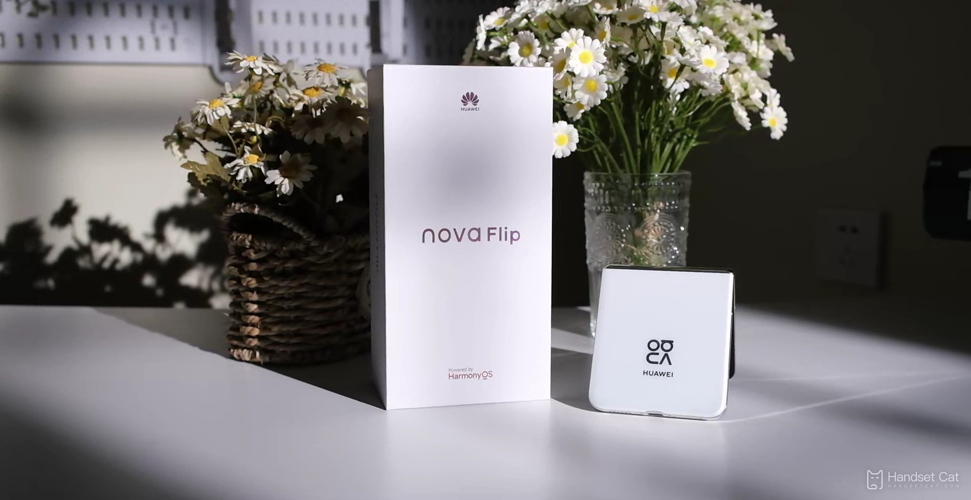 Оцените изображение Huawei nova Flip, оно выглядит так хорошо!