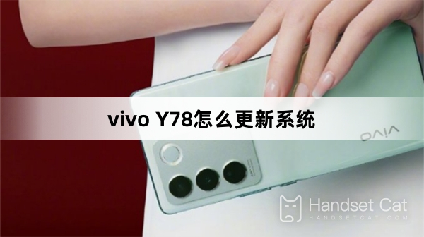 How to update the system of vivo Y78