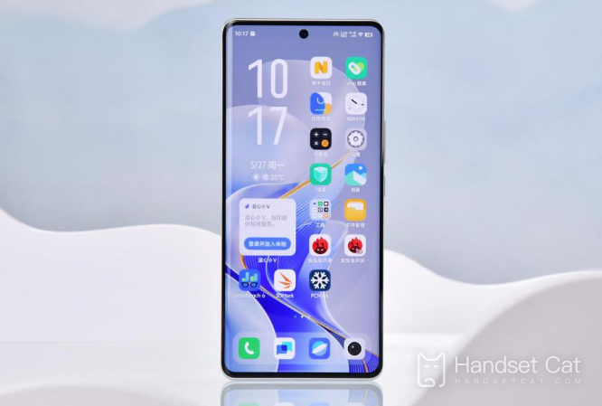 How much does it cost to replace the original battery of vivo S19 Pro?
