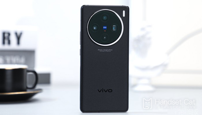 Was ist die Hauptkamera des vivo X100?