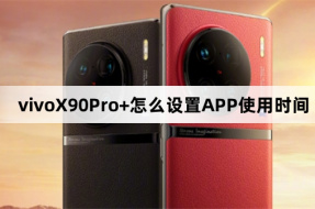 How to set APP usage time on vivoX90Pro+
