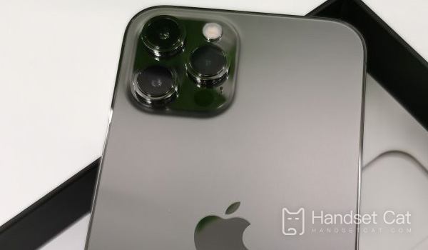 Anleitung zum Flashen des iPhone 12 Pro Max