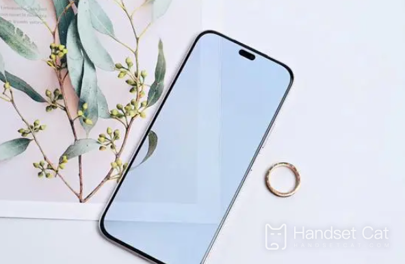 What is the screen size of Honor X60i?