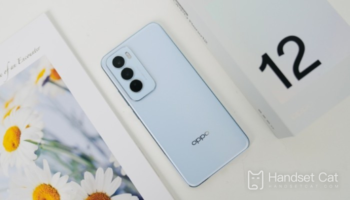 How is the camera effect of OPPO Reno 12?