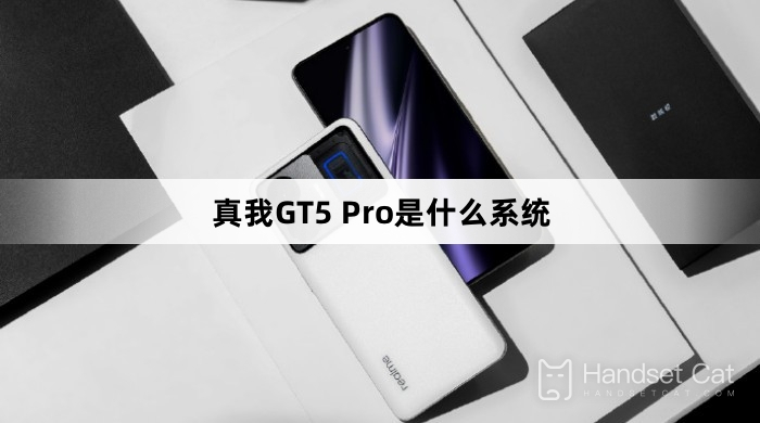 Quel est le système du Realme GT5 Pro ?