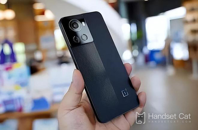 OnePlus ace 화면 교체 비용은 얼마인가요?