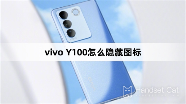 vivo Y100에서 아이콘을 숨기는 방법