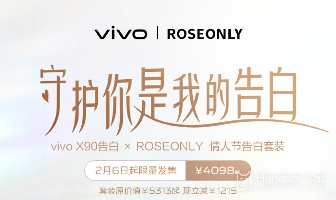 Vivo X90 Advertisement × ROSEONLY Valentine's Day Advertisement Package