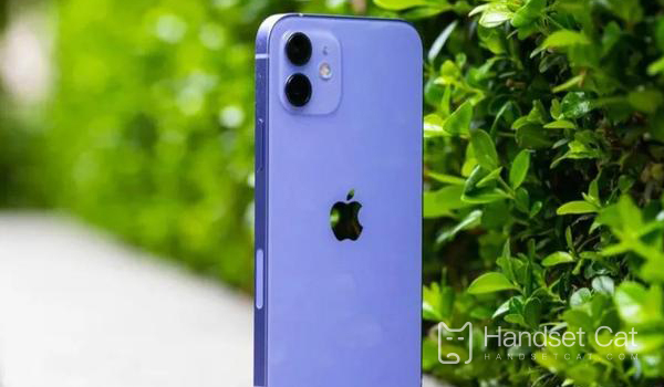 iPhone 12 हार्डवेयर मरम्मत मूल्य परिचय