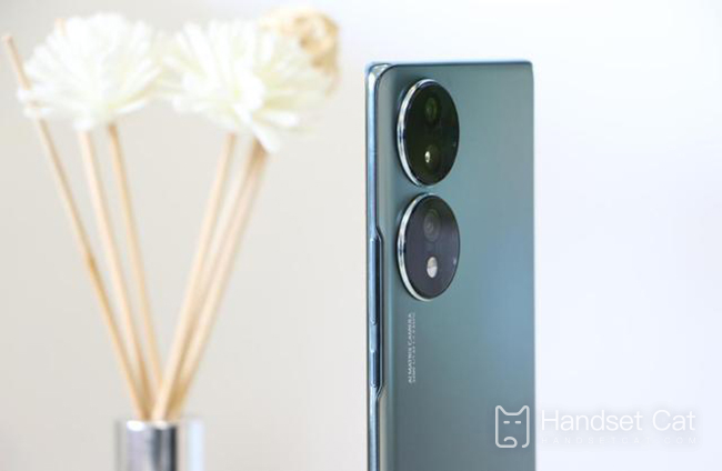 Honor 80 Pro にはスマート アイランドがありますか?