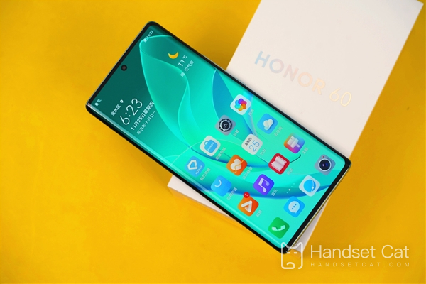 Honor 60은 얼굴 인식을 지원합니까?