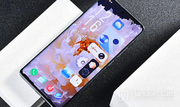 Le vivo X90 est-il une interface USB Type C ?