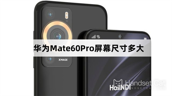 What is the screen size of Huawei Mate60Pro?