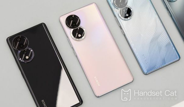 क्या Honor 80 SE में डुअल सिम कार्ड और डुअल स्टैंडबाय है?