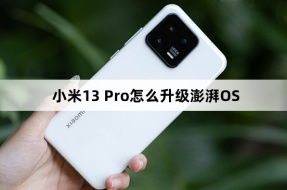 Xiaomi Mi 13 Pro를 ThePaper OS로 업그레이드하는 방법