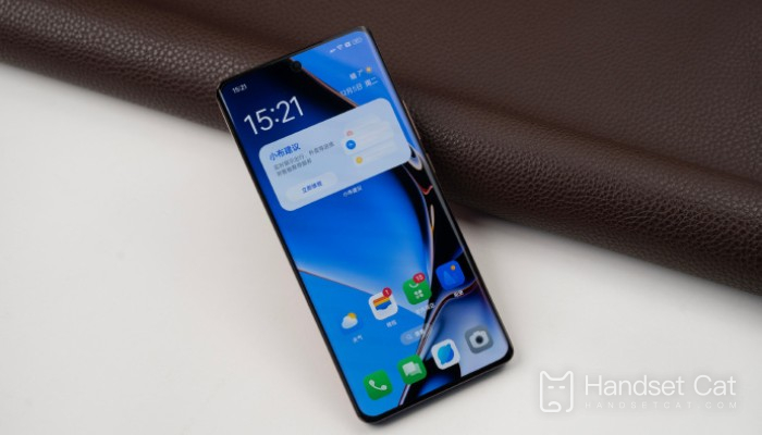 What is Realme GT5Pro palmprint recognition?