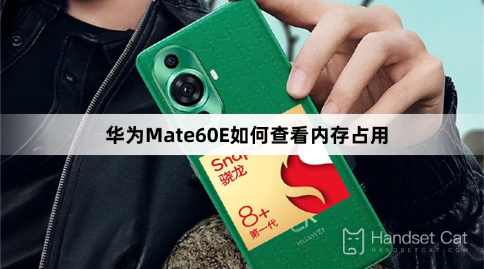 華為Mate60E如何查看記憶體佔用