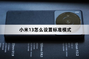 How to set standard mode on Xiaomi Mi 13