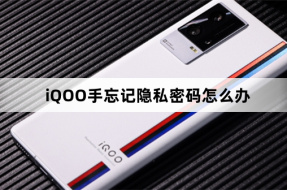 Solution to Forgetting Privacy Password on iQOO Mobile Phone