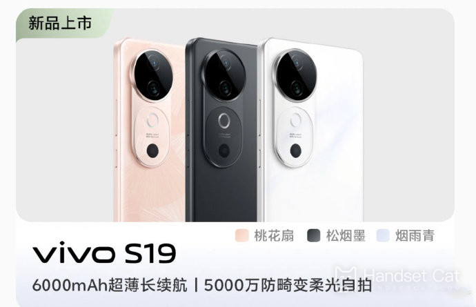 How much does it cost to replace the original battery of vivo S19?