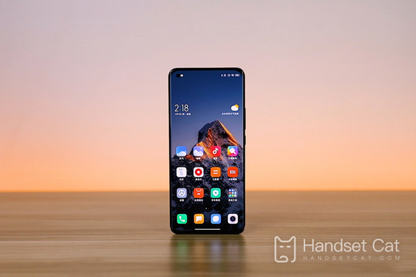 Que tipo de interface o Xiaomi 11 Ultra usa?