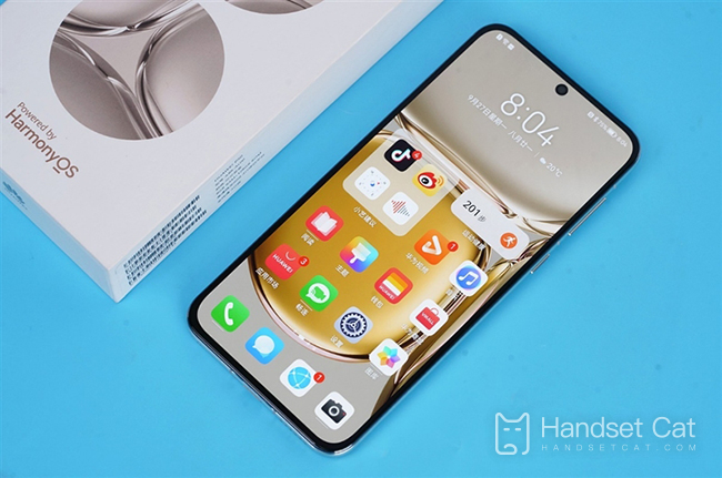 What Black Technologies Does Huawei P60E Have