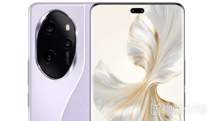 Einführung in die Kamerakonfiguration des Honor 100Pro