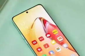 How to use OPPO Find X5 Pro privacy avatar function